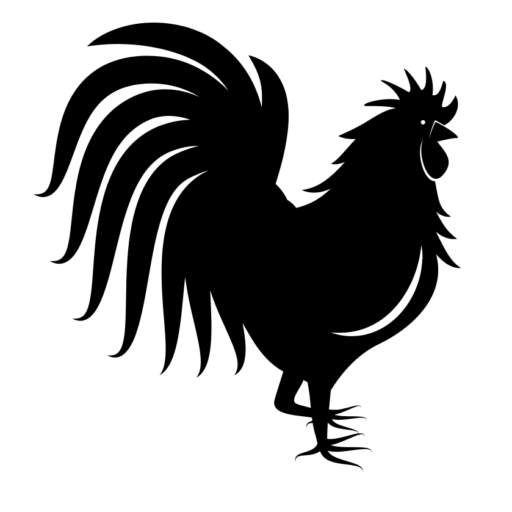 0648250123 ONTRUIMEN ROTTERDAM. Professionele diensten voor stressvrije ontruiming. Betrouwbare en efficiënte service. 0648250123